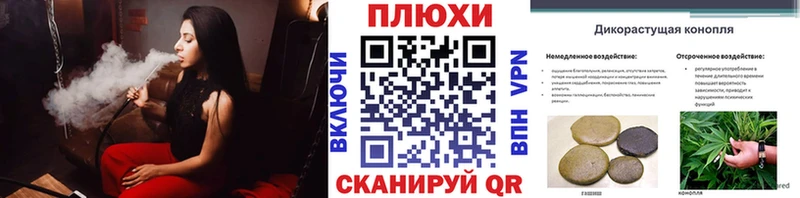 ГАШ гашик  как найти   Вольск 